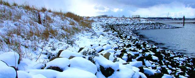 Snow on Rocks, Essex, England