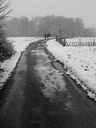 Road in the Snow, England